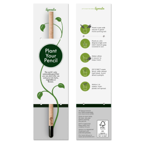 Crayon de bois graines Basilic 2