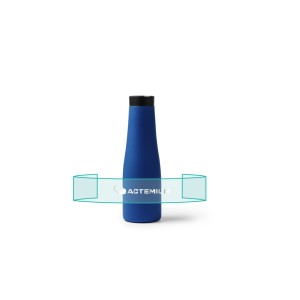 Bouteille isotherme bambou 500ml